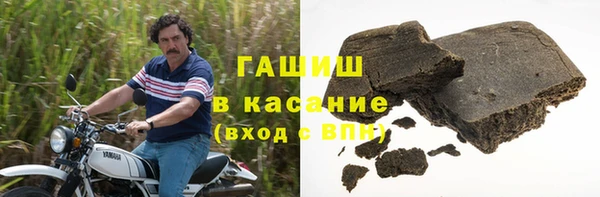 шишки Горняк