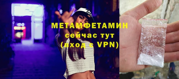 шишки Горняк