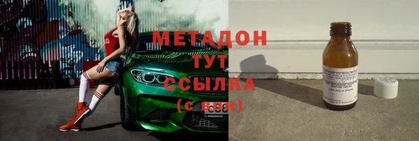 шишки Горняк