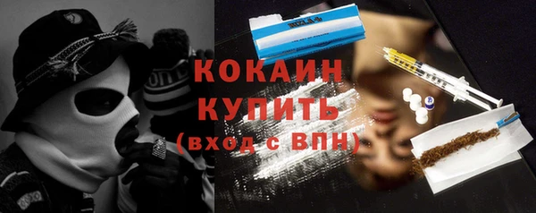шишки Горняк