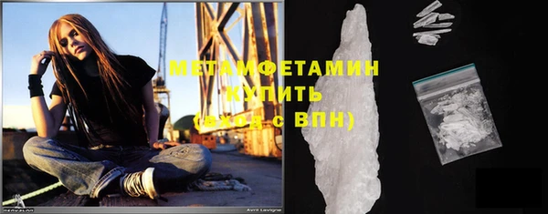 шишки Горняк