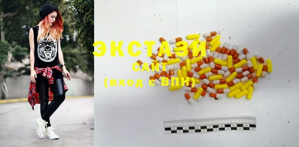 шишки Горняк