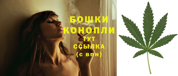 шишки Горняк