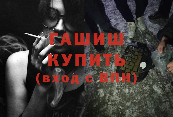 шишки Горняк