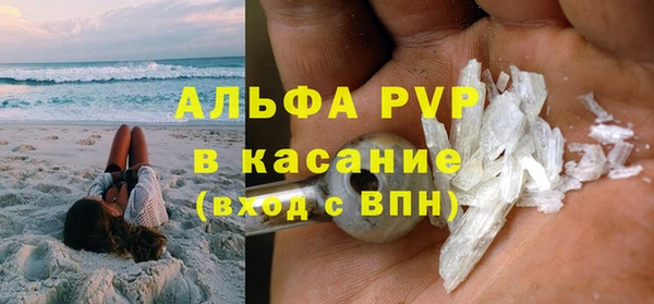 шишки Горняк