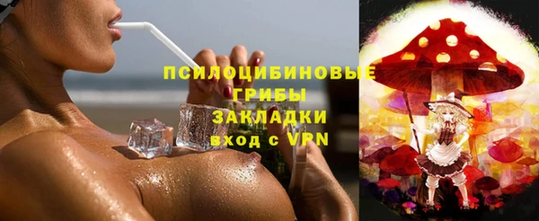 шишки Горняк