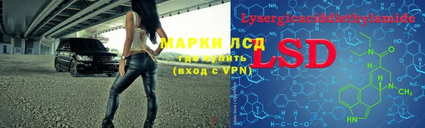 шишки Горняк