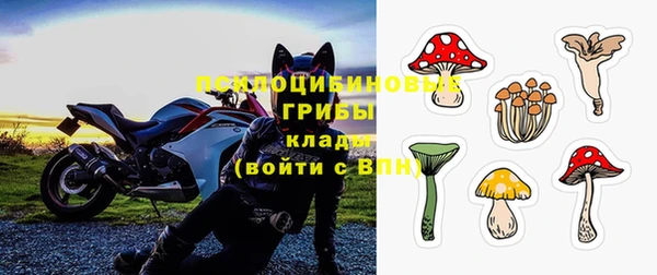 шишки Горняк